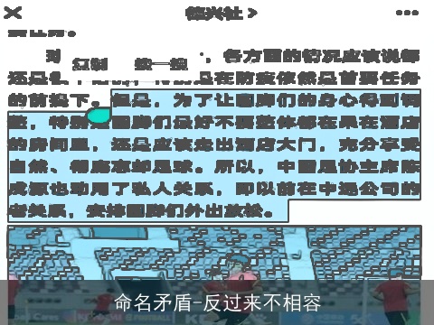 命名矛盾-反过来不相容