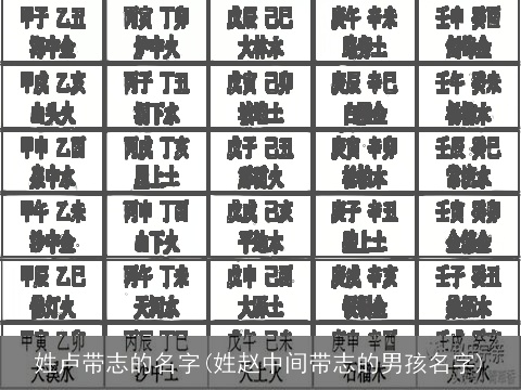 姓卢带志的名字(姓赵中间带志的男孩名字)