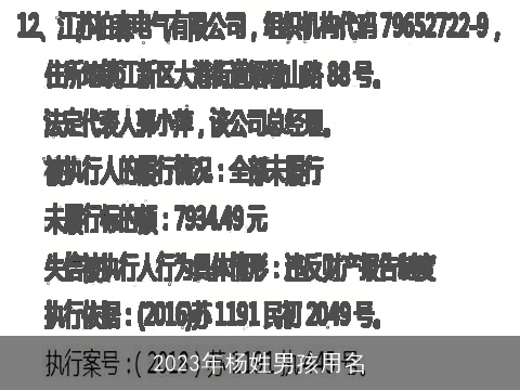 2023年杨姓男孩用名