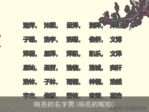 响亮的名字男(响亮的昵称)