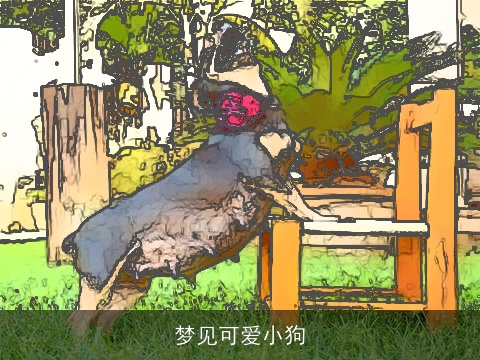 梦见可爱小狗