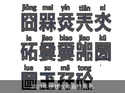 2023年徐姓女孩最佳取名