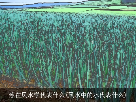 葱在风水学代表什么(风水中的水代表什么)