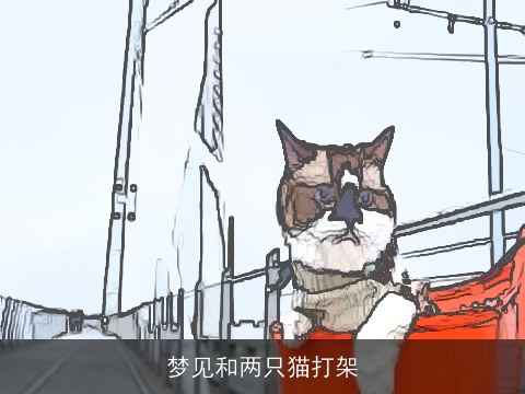 梦见和两只猫打架