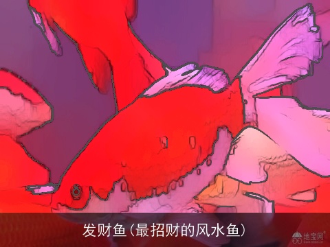 发财鱼(最招财的风水鱼)