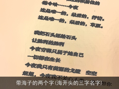 带海子的两个字(海开头的三字名字)