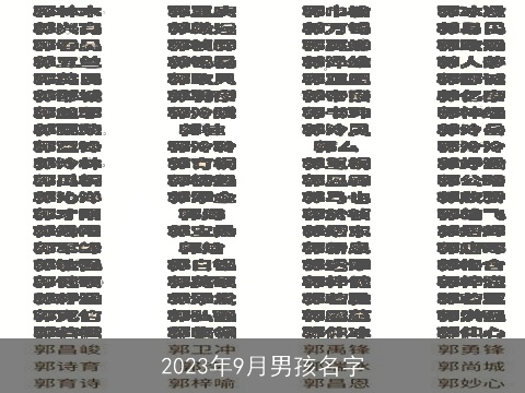 2023年9月男孩名字