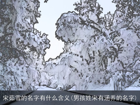 宋茹雪的名字有什么含义(男孩姓宋有涵养的名字)