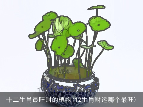 十二生肖最旺财的植物(12生肖财运哪个最旺)