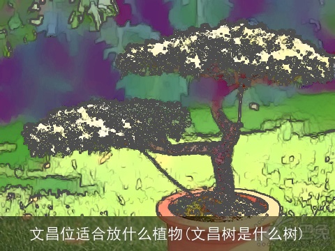 文昌位适合放什么植物(文昌树是什么树)