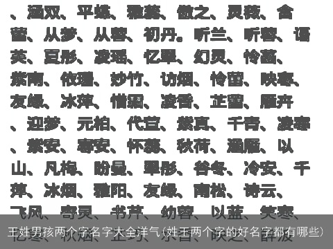 王姓男孩两个字名字大全洋气(姓王两个字的好名字都有哪些)