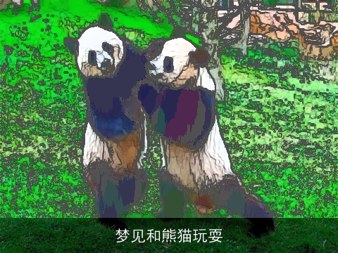 梦见和熊猫玩耍