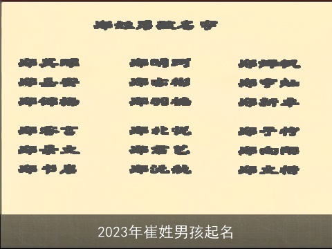 2023年崔姓男孩起名