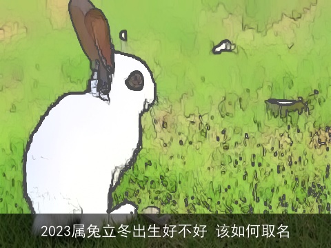 2023属兔立冬出生好不好 该如何取名