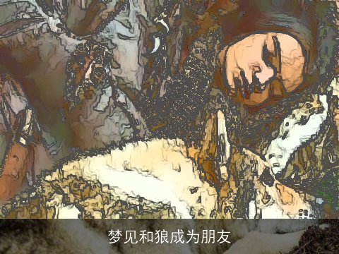 梦见和狼成为朋友