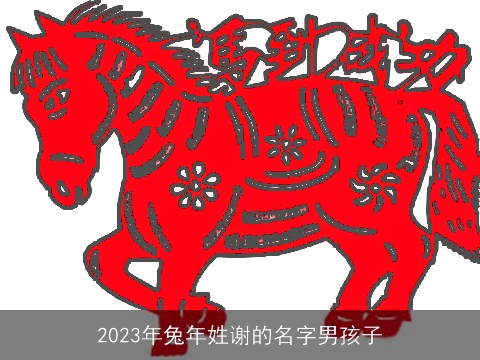 2023年兔年姓谢的名字男孩子