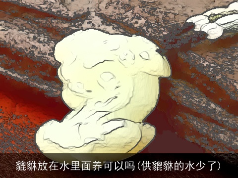 貔貅放在水里面养可以吗(供貔貅的水少了)