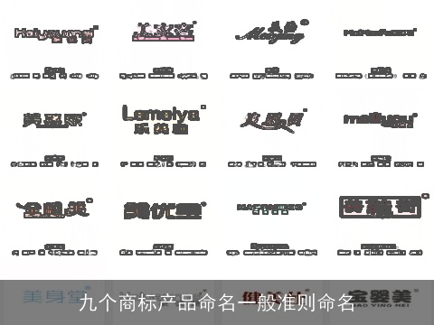 九个商标产品命名一般准则命名