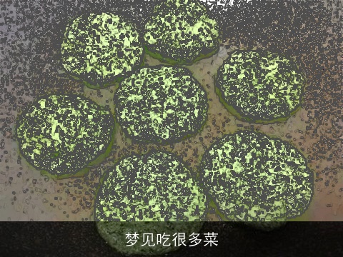 梦见吃很多菜