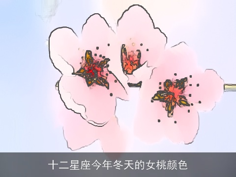十二星座今年冬天的女桃颜色