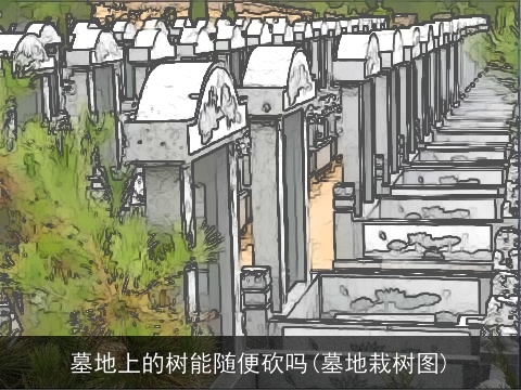 墓地上的树能随便砍吗(墓地栽树图)