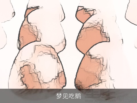 梦见吃鹅