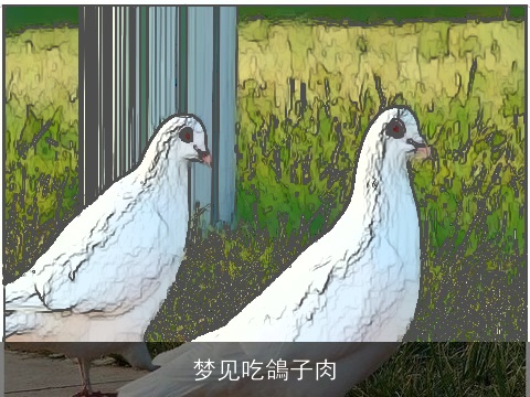 梦见吃鴿子肉