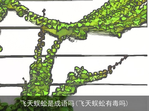 飞天蜈蚣是成语吗(飞天蜈蚣有毒吗)