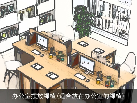 办公室摆放绿植(适合放在办公室的绿植)