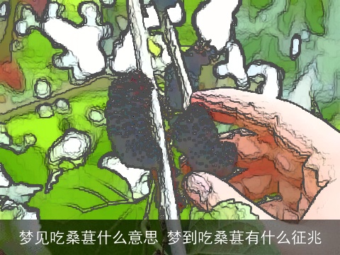 梦见吃桑葚什么意思 梦到吃桑葚有什么征兆