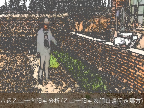八运乙山辛向阳宅分析(乙山辛阳宅农门口请问走哪方)