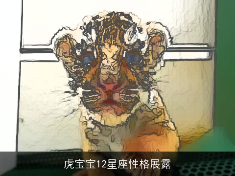 虎宝宝12星座性格展露