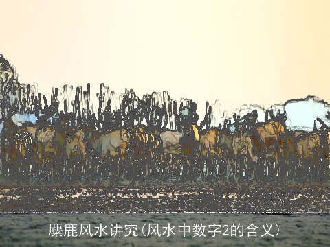 麋鹿风水讲究(风水中数字2的含义)