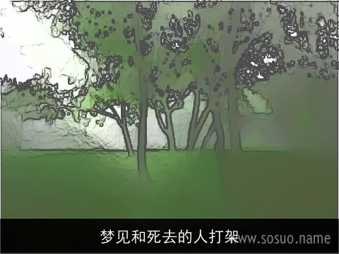 梦见和死去的人打架