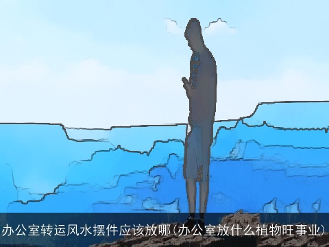 办公室转运风水摆件应该放哪(办公室放什么植物旺事业)