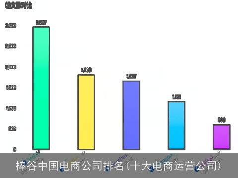 棒谷中国电商公司排名(十大电商运营公司)