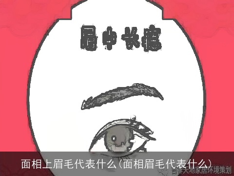 面相上眉毛代表什么(面相眉毛代表什么)