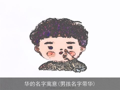 华的名字寓意(男孩名字带华)