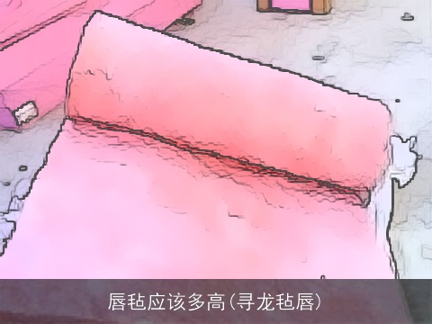 唇毡应该多高(寻龙毡唇)