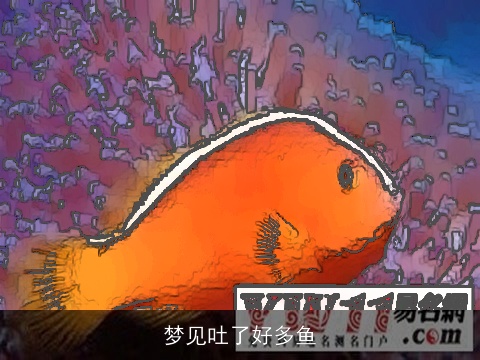 梦见吐了好多鱼