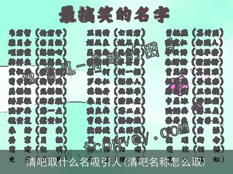 清吧取什么名吸引人(清吧名称怎么取)