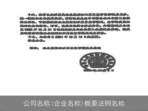 公司名称(企业名称)概要法则名称