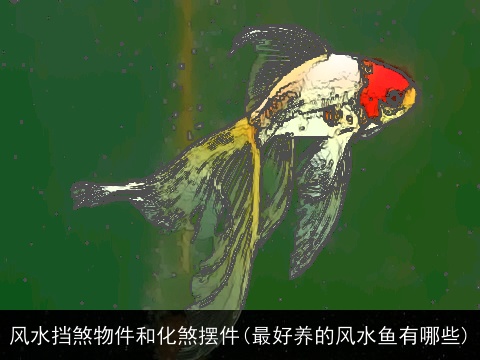 风水挡煞物件和化煞摆件(最好养的风水鱼有哪些)