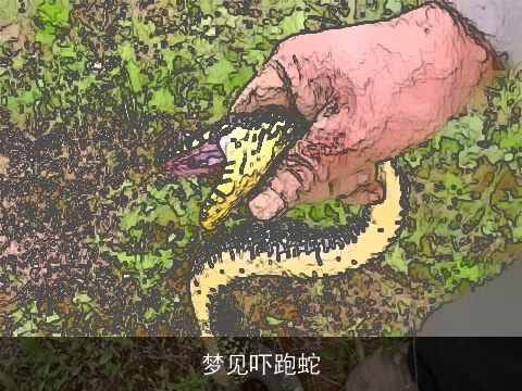 梦见吓跑蛇