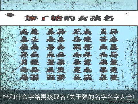 梓和什么字给男孩取名(关于强的名字名字大全)