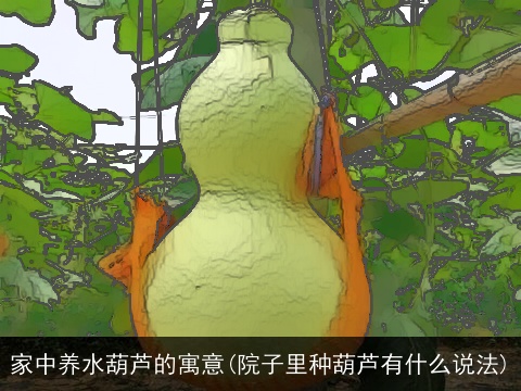家中养水葫芦的寓意(院子里种葫芦有什么说法)