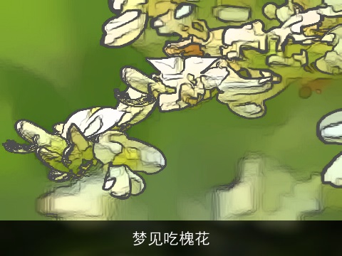 梦见吃槐花