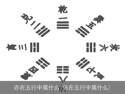 亦在五行中属什么(依在五行中属什么)