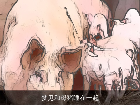 梦见和母猪睡在一起