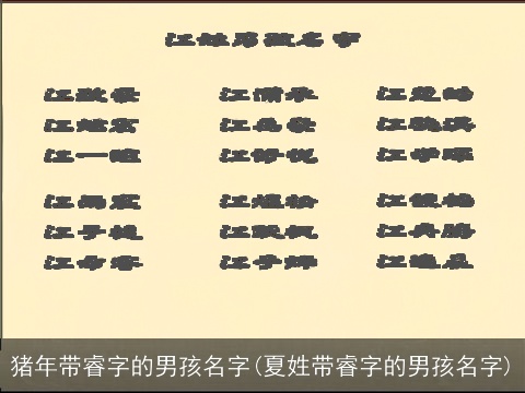 猪年带睿字的男孩名字(夏姓带睿字的男孩名字)